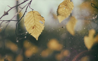 photo3：Lorem ipsum dolor sit amet, consectetur adipiscing elit, sed do eiusmod tempor incididunt ut labore et dolore magna aliqua